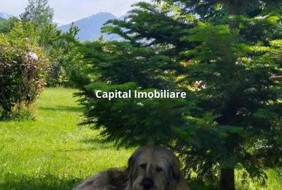 House for sale, 5 Rooms, 180 sqm, Valea Dejani - 1