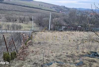 Casă cu Teren 2000 Mp în Sânpaul - 2