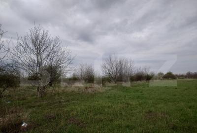 Teren intravilan, 3515 mp, zona Crevedia - 10