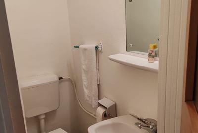 Apartament cu 3 camere decomandat în Camil Ressu - 18