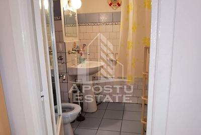 Apartament cu 2 camere decomandat în Badea Cârțan - 10