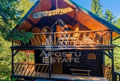 Hotel/Pensiune, de 150 mp, în Râu de Mori - 2