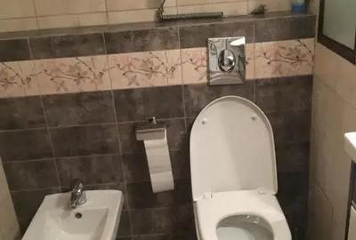 Garsoniera de inchiriat in Florilor pe Albastrelelor - 4