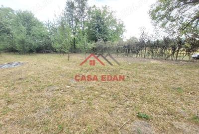 Casă cu Teren 2093 Mp în Bănești - 13