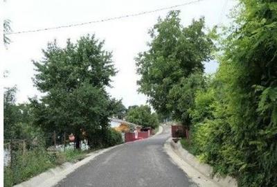 Casa si teren Costinesti, Botosani, ID: R2728052 - 32