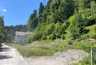 Spațiu comercial, în Central - 3