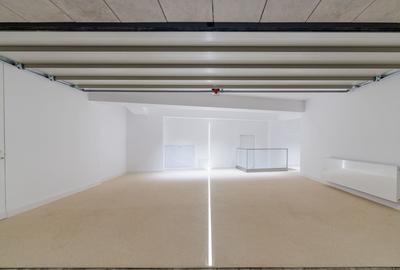 Vila Minimalista Moderna Snagov Lac - 26