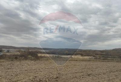 Teren de 11900 mp, în Fârdea - 1