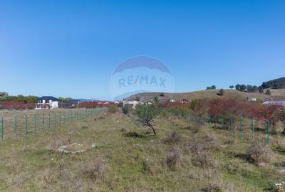 Teren Sanpetru -livada, Strada Nucului, 1296mp, apa, gaz, curent - 2