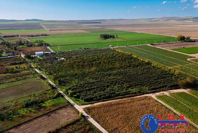 Teren de 44999 mp, în Sabangia - 30