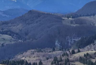 Spațiu comercial, în Dâmbovicioara - 7