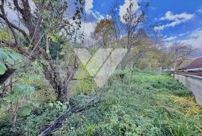 Casa 3 camere, 432 mp teren - Cisnadioara - 4