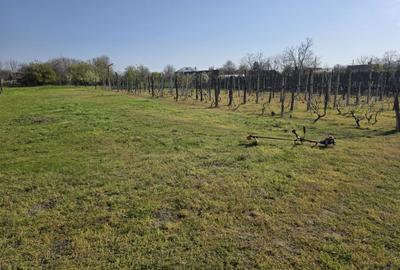 Casă cu 4 camere în Soreni - 2