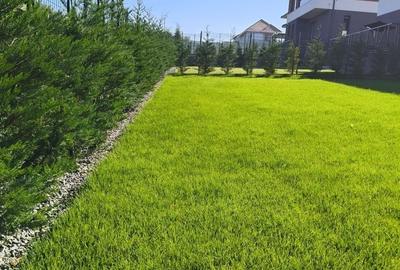 Casă cu 4 camere în Dezmir - 8