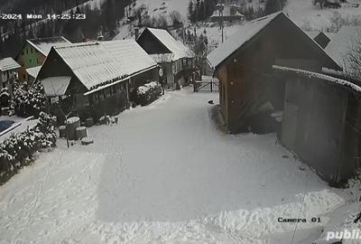 Casă cu 4 camere cu Teren 2000 Mp în Vale - 9