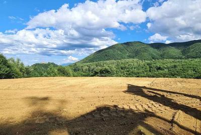 Spațiu comercial, în Cisnădioara - 5