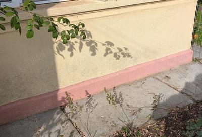 Casă cu 3 camere cu Teren 1877 Mp în Movila - 8