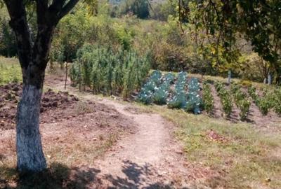 Casă cu Teren 5000 Mp în Mărășești - 3