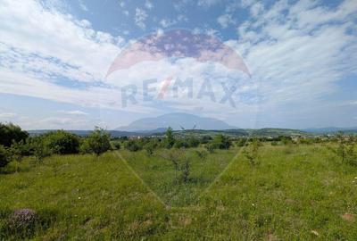 Teren intravilan de vanzare 2.444 mp - Targu Lapu? - 5