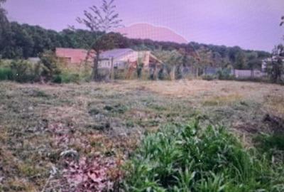 Lot teren 450 mp langa padure Ciolpani Fermei - 5