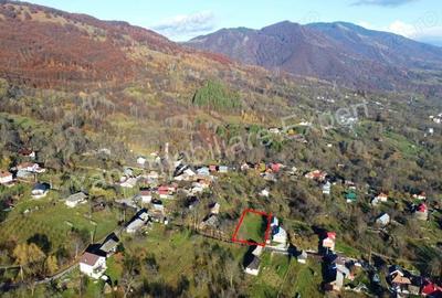 Teren de vanzare in comuna Arefu, jude? Arge?, in apropiere de Transfagara?an. - 11