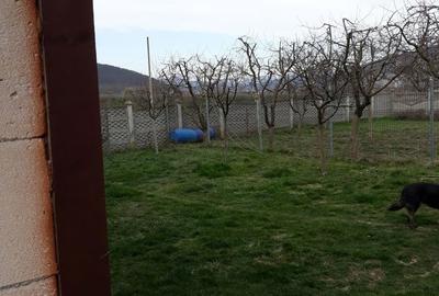 Casă cu 4 camere în Mintia - 5