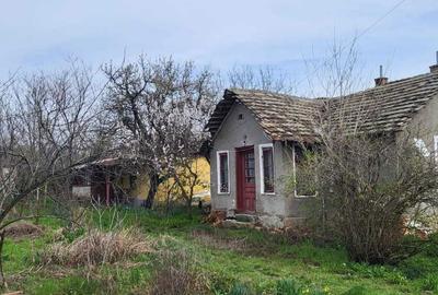 Casă cu 2 camere cu Teren 2000 Mp în Plenița - 1