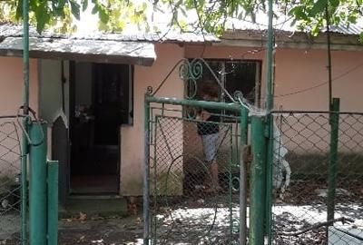 Vând casă cu teren (3200m2) în Teleorman Vând casă cu teren (3200m2) în Teleorman - 13