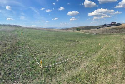 TEREN INTRAVILAN  BOD - 1200 mp pentru constructii case Sp+P+E+M - 10