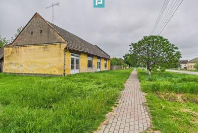 Casă cu 3 camere cu Teren 1547 Mp în Variaș - 11