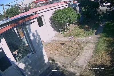 Casă cu 5 camere cu Teren 1917 Mp în Niculești - 7