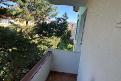 Apartament ingrijit cu Brazi la balcon - 6