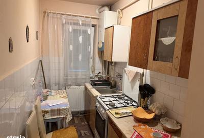 Apartament cu 2 camere în Botizului - 10