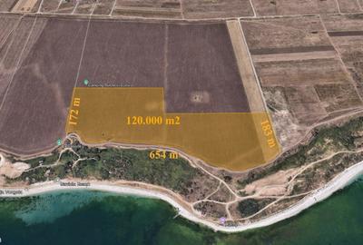 Teren agricol extravilan de 120000 mp, în Tuzla - 1