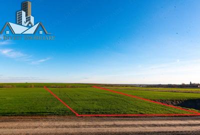 Teren agricol extravilan de 9404 mp, în Giarmata - 1