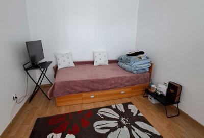 Apartament cu 4 camere decomandat în Vasile Alecsandri - 7