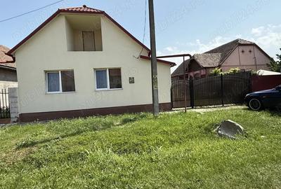 Casa de vanzare cu gradina - 2