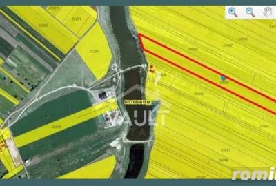 Teren de 27500 mp, în Belciugatele - 3
