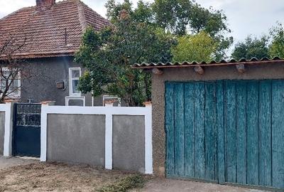 Dalga Sat, Com. Dor Marunt, jud. Calarasi Dalga Sat, Com. Dor Marunt, jud. Calarasi - 4