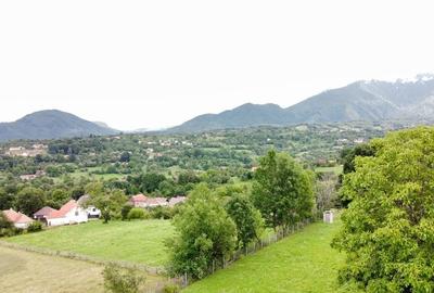 Sohodol, locatie minunata - teren intravilan 1850 mp - 2
