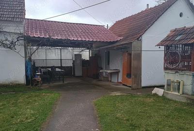Casă cu 2 camere cu Teren 1950 Mp în Gothatea - 4