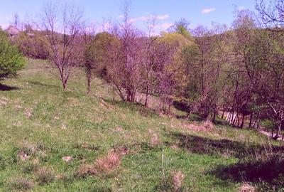 Teren Construcții intravilan de 7.7950000762939 mp, în Golești - 4