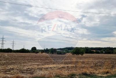 Vanzare Teren Balotesti / Strada Lacul Vlasia - 6