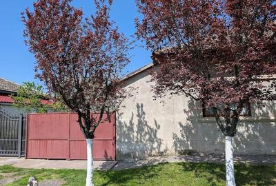 Casă cu 3 camere cu Teren 1000 Mp în Foeni