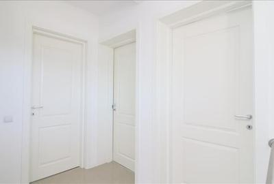 Casa deosebita, zona linistita de case, Visan. - 13