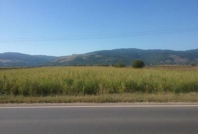 Teren de 4900 mp, în Băcăinți - 5