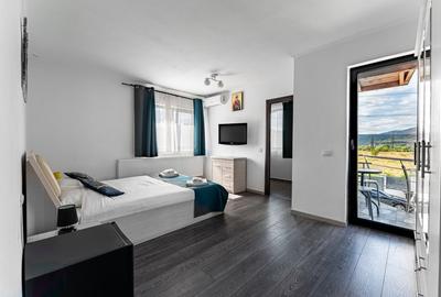 Vila turistica cu 8 camere + casute A-frame, teren 5575 mp Calimanesti, VL - 13