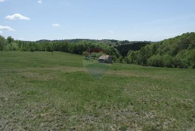 Teren extravilan de 7500 mp, în Preluca Nouă - 1