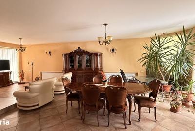 Casă cu 6 camere cu Teren 509 Mp în Sânandrei - 4