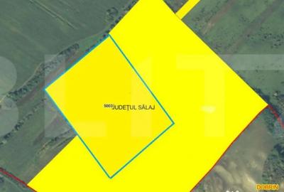 Teren de 87000 mp, în Sălățig - 1